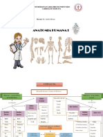 Osteologia Tarea 1