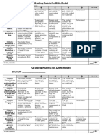 Grading Rubric For DNA Model