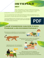 Infografía Sobre El Cuidado de Los Ecosistemas