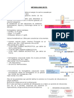 Metabolismo de Fe, Anemia Ferropénica