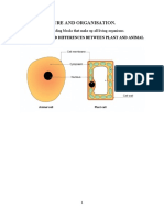 Cell Structure and Organisation Notes