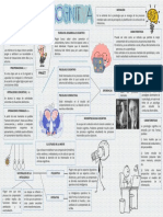 Infografia de Psicologia Cognitiva