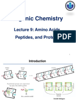 Lecture 9 Protein