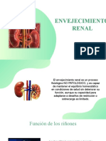 Copia de Envejecimiento Renal