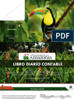 Libro Diario Contable