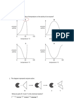 Enzymes Classified Past Paper 2 Solved GCSE O Levels Biology 0610