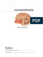 NEURO