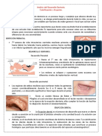 Análisis Del Desarrollo Dentario