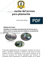 Habilitación Del Terreno para Plantación