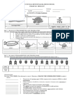 Protein Synthesis Activity