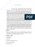 Informe 4