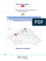 Synthese PDAIRE Francais