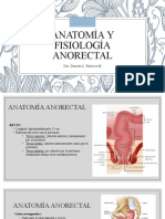 Anatomía y Fisiología Anorectal