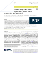 Cell Cycle Related Long Non-Coding Rnas As The Critical Regulators of Breast Cancer Progression and Metastasis