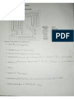 Sopa de Letras Plan Lector