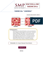 Informe 06 Anemia