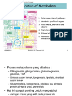 Integration of Metabolism