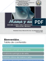 Seminario de Mama