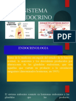 Sistema Endocrino