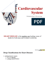 Cardiovascular System