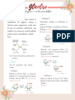 Glicolise, Gliconeogenese e Via Das Pentoses P - 220626 - 224821