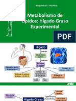 Práctica 5 - Hígado Graso Experimental