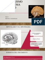 Metabolismo Del Sistema Nervioso