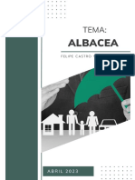 Informe Sobre El Albacea