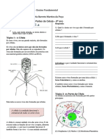 Wiac - Info PDF A Celula PR