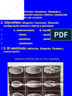 Tema 6 y 7 Cerebelo y Diencefalo