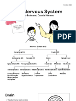 AD 7 The Nervous System