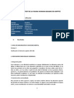 Informe Ejemplo DFH Koppitz