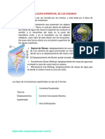 Circulación Superficial de Los Océanos: Reboseño Dominguez Alan Yoltic