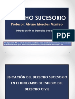 Derecho Sucesorio: Profesor: Álvaro Morales Marileo