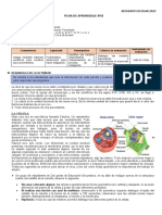 FICHA DE REFUERZO N°03-CyT - 2do