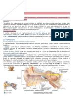 Descrever Os Mecanismos Do Processos/ Processamentos Auditivos (Interpretação) (Anatomia, Histologia e Fisiologia)