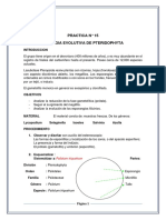 Practica de Botanica Criptogamica