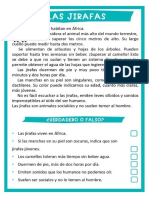 Documento