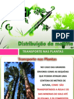 Transporte Nas Plantas 1