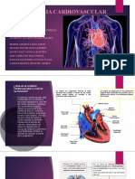 Sistema Cardiovascular