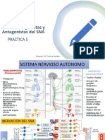 Fármacos Agonistas y Antagonistas Del SNA: Practica 5