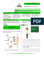 Actividad 04