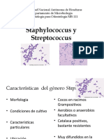 Staphylococcus y Streptococcus My Odont