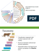 Gen Bio 2 Phylogeny