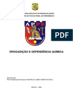 Drogadição E Dependência Química: Secretaria Executiva de Ressocialização Academia de Polícia Penal de Pernambuco