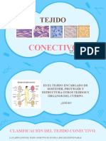 Tejido Conectivo