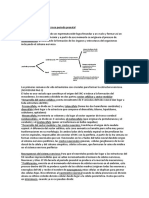 FBE Resumen 2