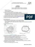 Actividad 3