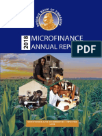 Microfinance Annual Report 2018