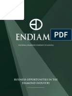 Endiama Digital Brochure